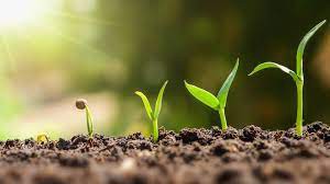 فروش قطره رشد گیاه صنایع کود مارال