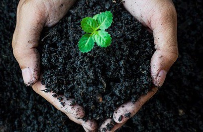 فروش اسید هیومیک مایع