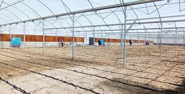 فروش تجهیزات گلخانه 
