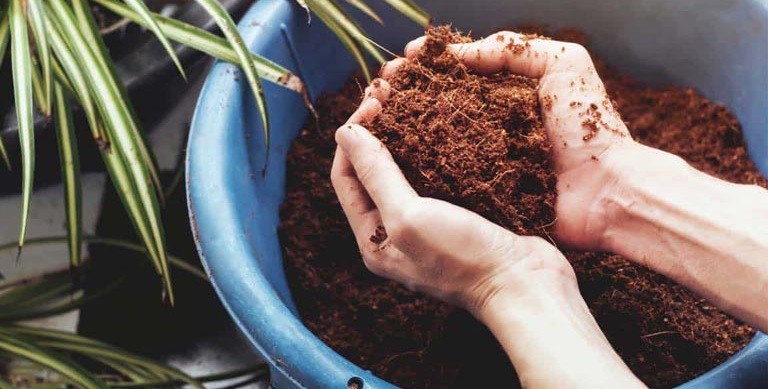 فروش کوکوپیت مرغوب 4 لیتری