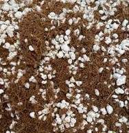 فروش خاک هلندی 4 لیتری