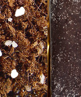 فروش کوکولیت 70 لیتری