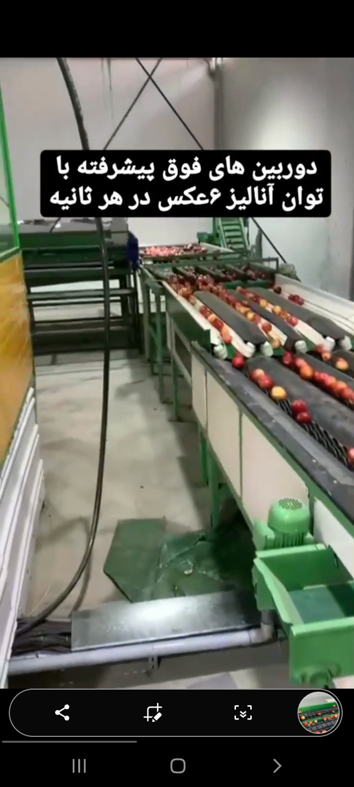 قیمت فروش خط سورتینگ میوه