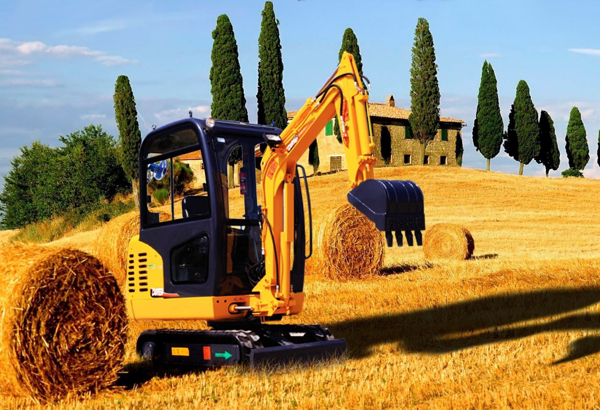 اجاره مینی بیل مکانیکی به همراه پیکور