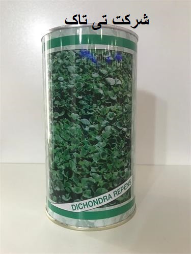 بذر چمن دایکوندرا