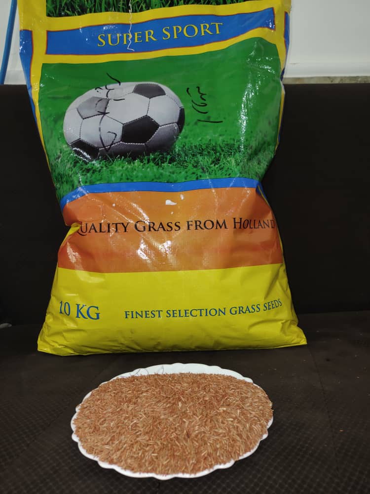 فروش عمده بذر چمن