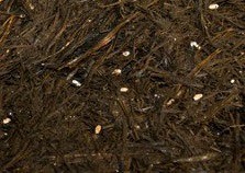 خریدار کمپوست قارچ مصرف شده 