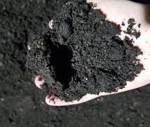 کمپوست مصرف شده تولید قارچ را خریداریم