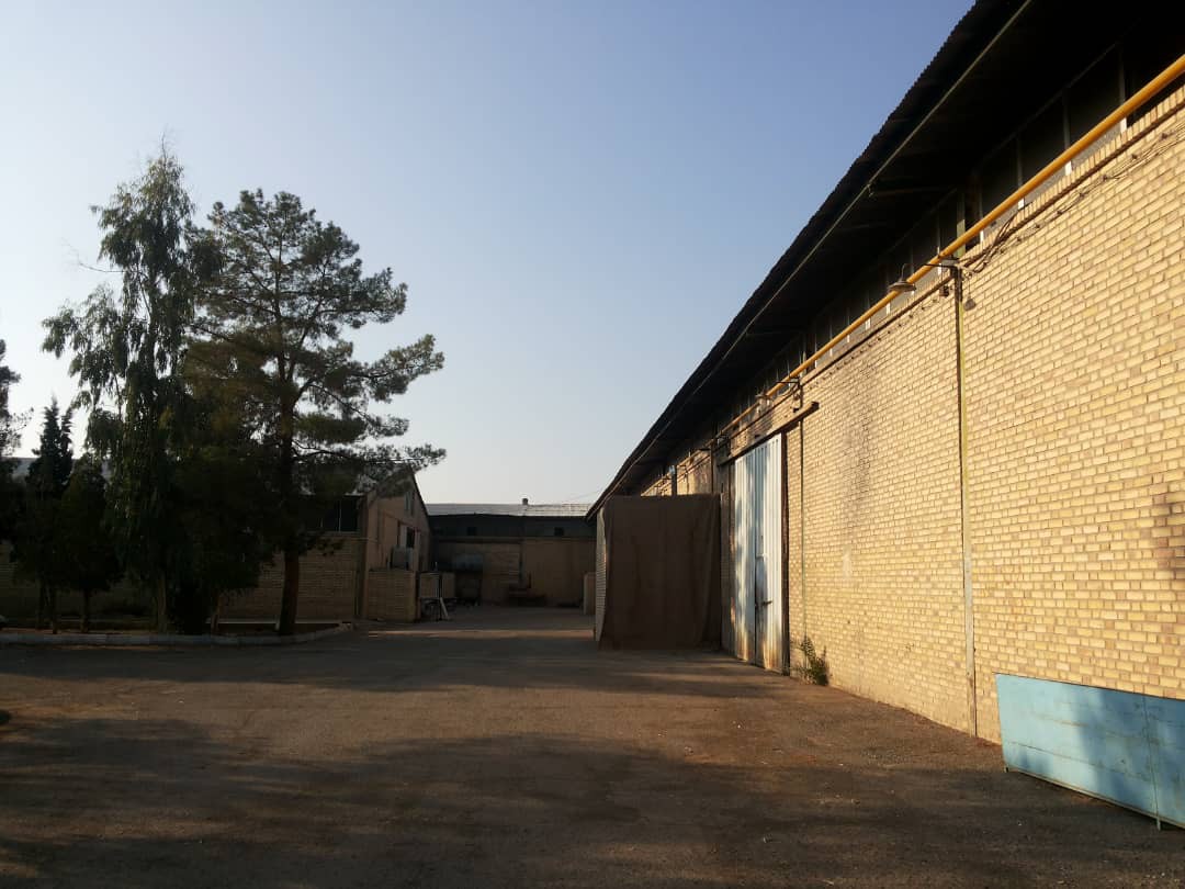 فروشنده کارخانه فرش بافی در کاشان
