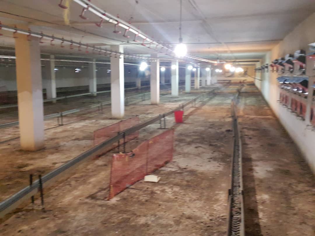 فروش مرغداری مرغ مادر در گیلان