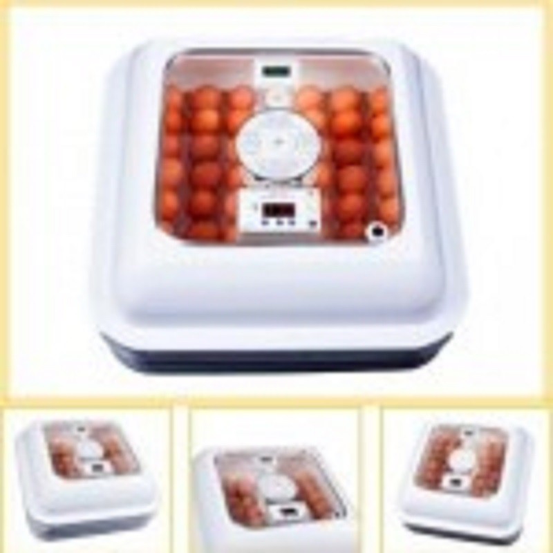 فروش دستگاه جوجه کشی