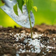 فروش کود زیستی فرانکیا درجه یک در گرگان