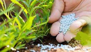 استشاري سماد زراعي