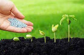 د کرنیزو سرې مشاور