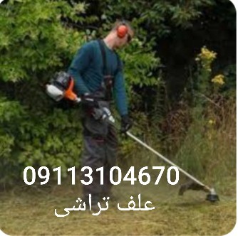 09113104670/علف تراشی با دستگاه چمن زن در چالوس