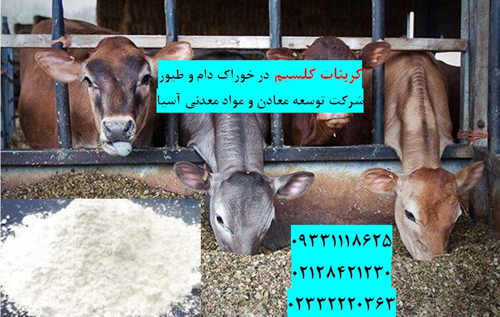کربنات کلسیم در خوراک دام و طیور