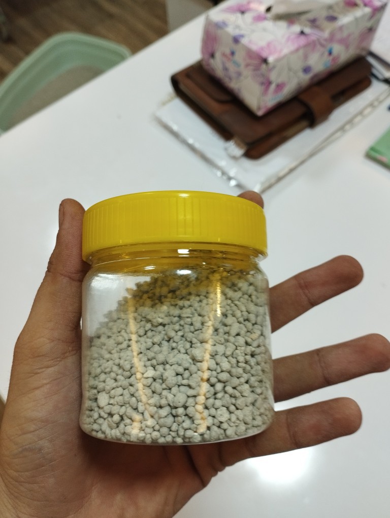 پخش عمده خاک گربه زامیاد با چک یکماهه