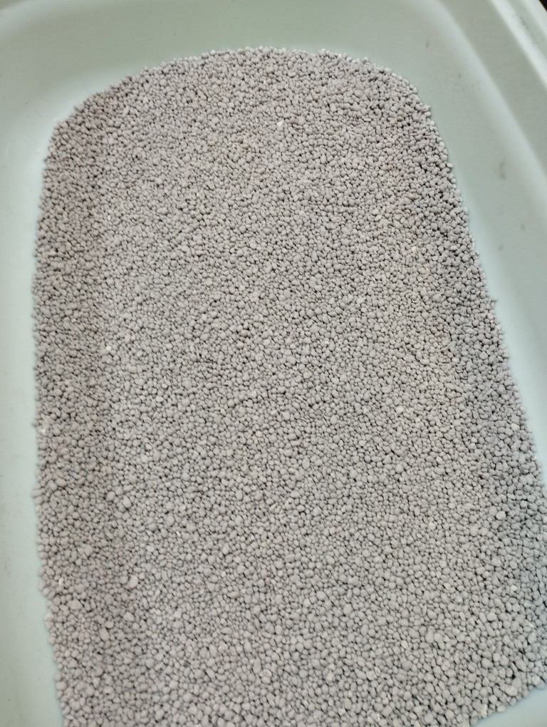 فروشندگان خاک گربه زامیاد با چک یکماهه