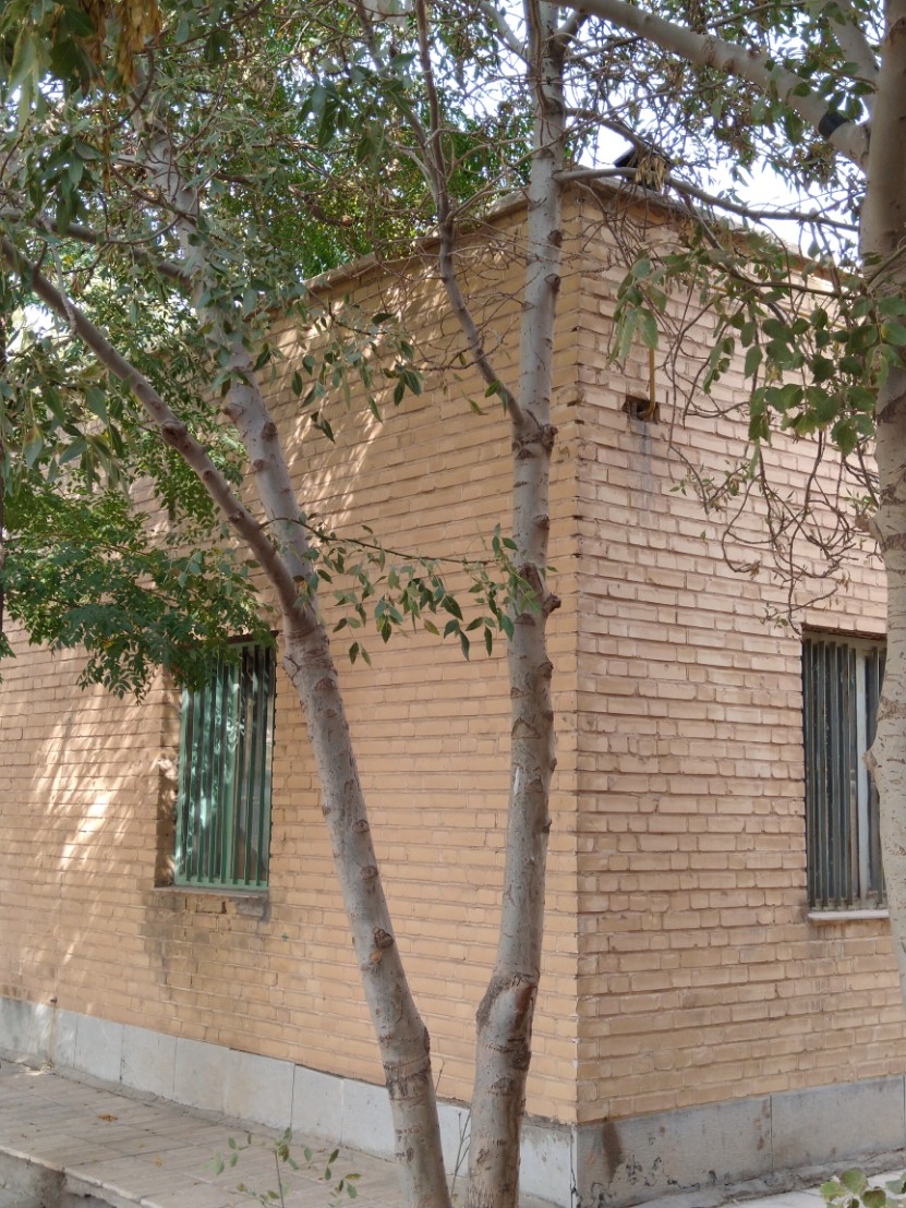 فروش کارخانه