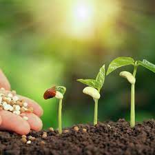 فروش کود کامل 16 عنصر