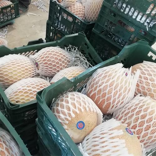 فوم توری میوه ، فوم توری شیشه 09199762163