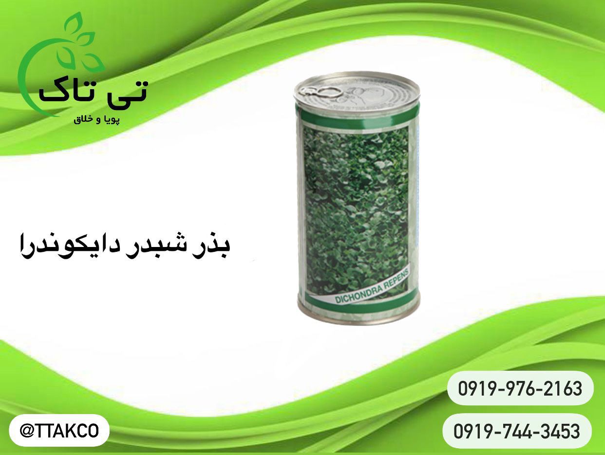 بذر شبدر دایکوندرا 09197443453