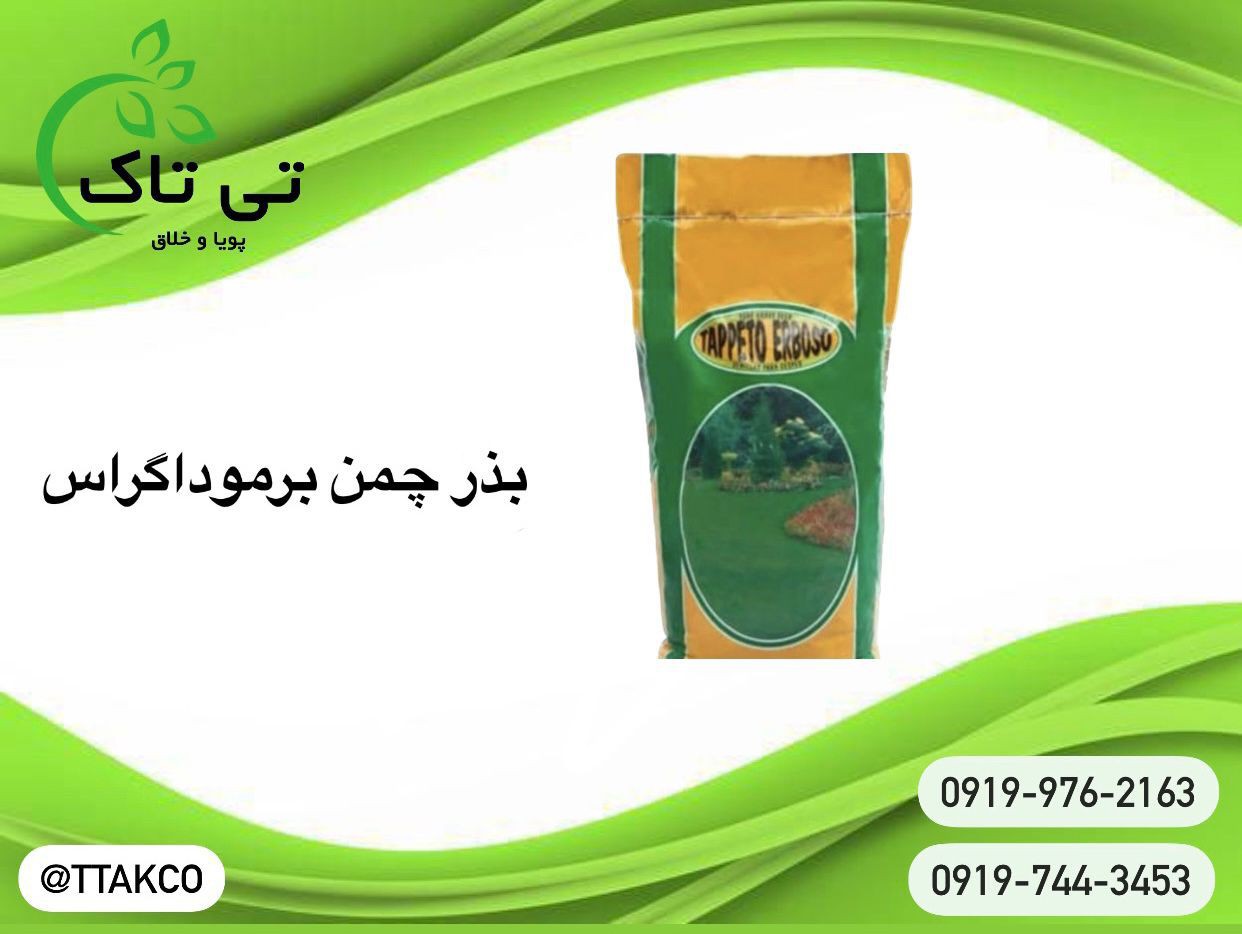 خرید بذر چمن گرمسیری | بذر چمن 10 کیلویی  برموداگراس  09197443453