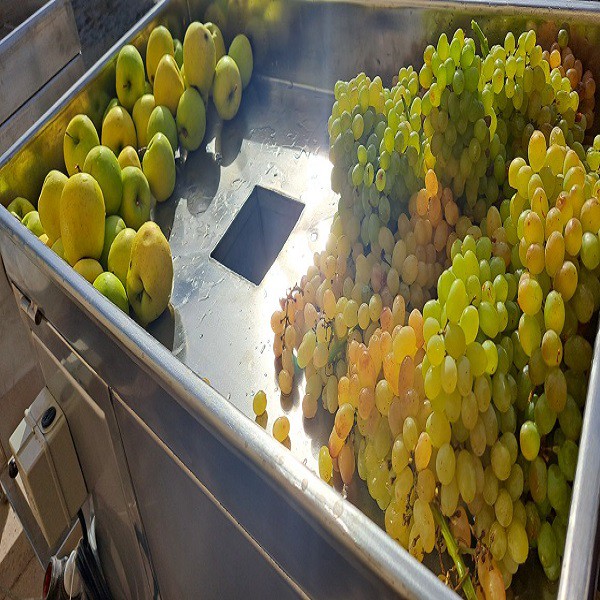 آبگیر سیب ، لیمو و غوره (انگور با خوشه)