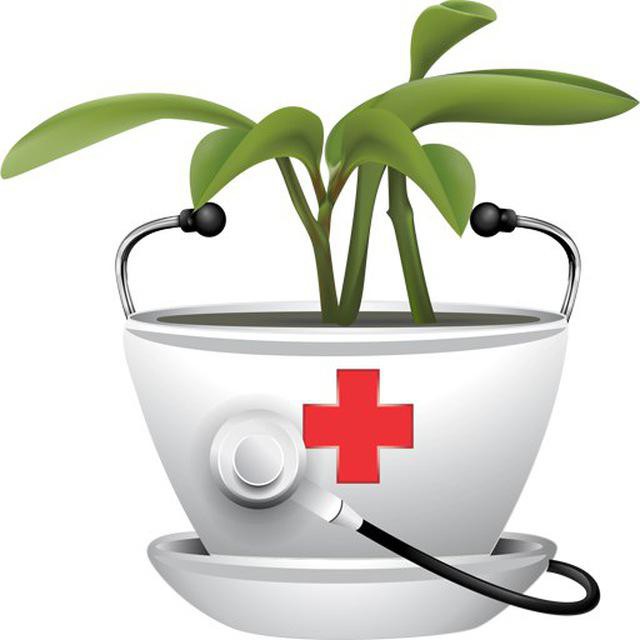 مجموعه گروهای شرکتهای پخش یاس اریا طب