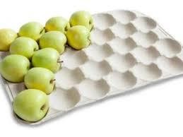 فروش شانه مقوایی میوه : بسته بندی میوه صادراتی 09197443453