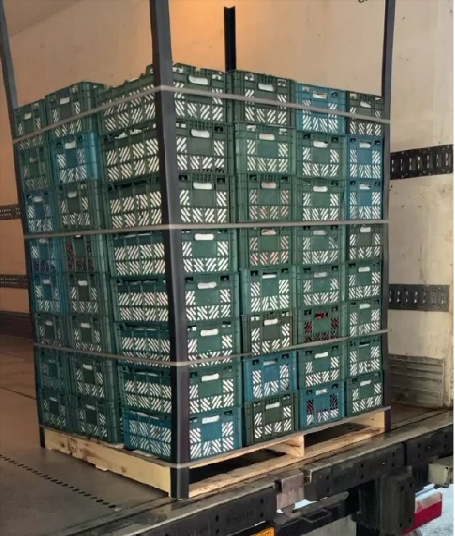 نبشی بسته‌بندی مناسب پالت میوه سردخانه 09197443453