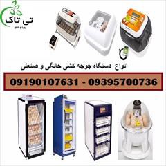 ماشین جوجه کشی با شانه های مخصوص09197443453