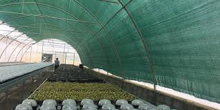 تولید کننده توری شید با کیفیت در کشور09197443453