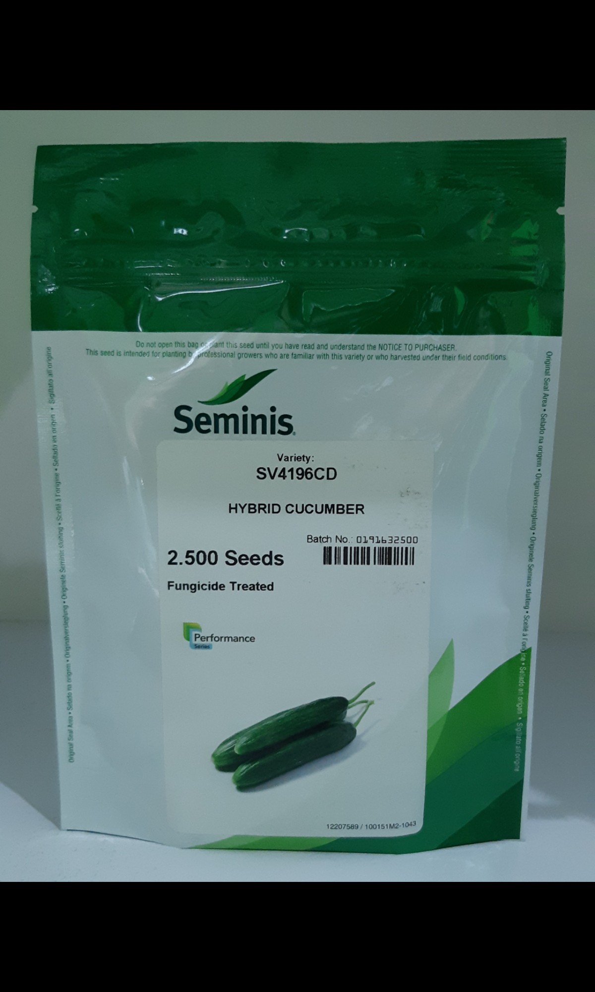 بذر خیار ۴۱۹۶