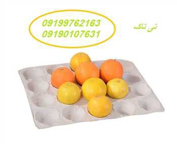 خرید شانه مقوایی09199762163