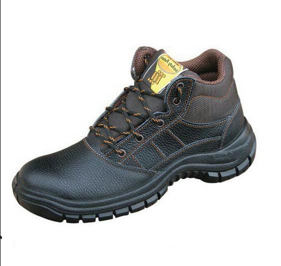 پوتین ایمنی پیروز