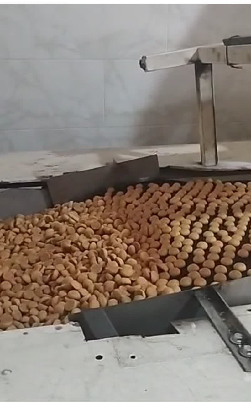 فروش کامل خط تولید بیسکویت کاملا سالم