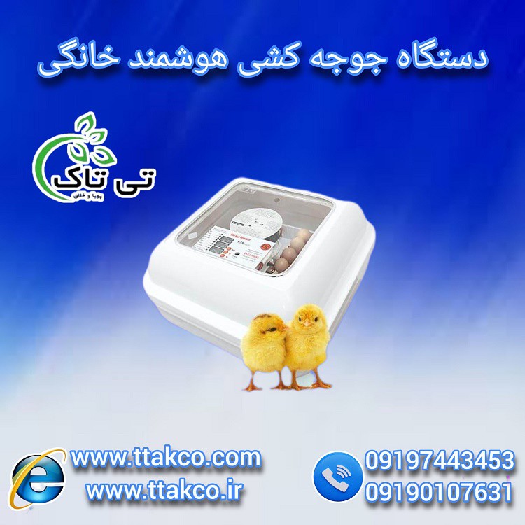 دستگاه جوجه کشی خانگی و کوچک اتوماتیک