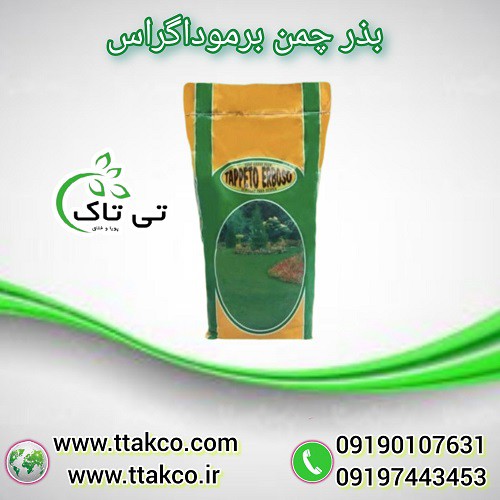 بذر چمن برموداگراس آفریقایی 4 تخم 09197443453