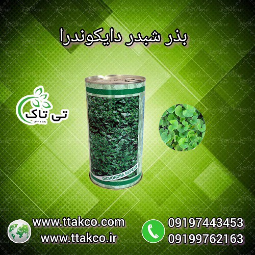 بذر چمن دایکوندرا یک کیلویی ایتالیایی