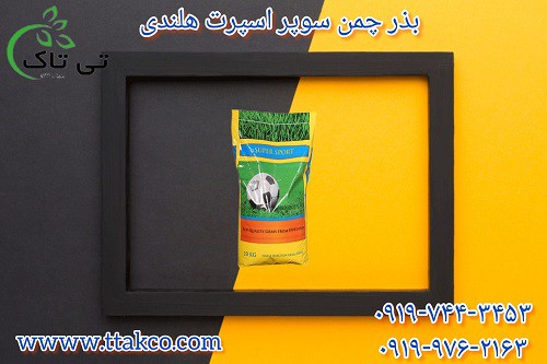 فروش بذر چمن زمین فوتبال | تخم چمن اسپرت هلندی تازه