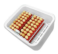 فروش  دستگاه جوجه کشی ، جوجه کشی خانگی و صنعتی 09197443453