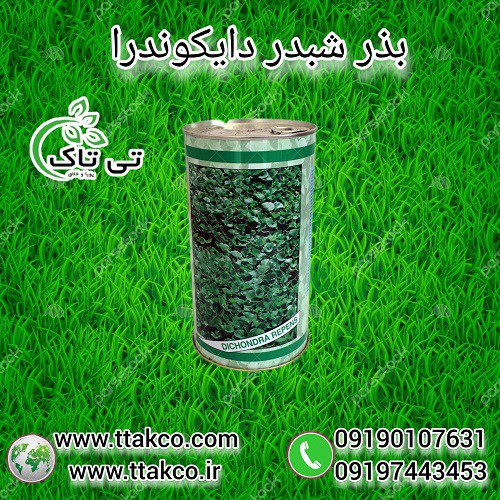 فروش بذر چمن دایکوندرا ، شبدر زینتی  - 09190993466