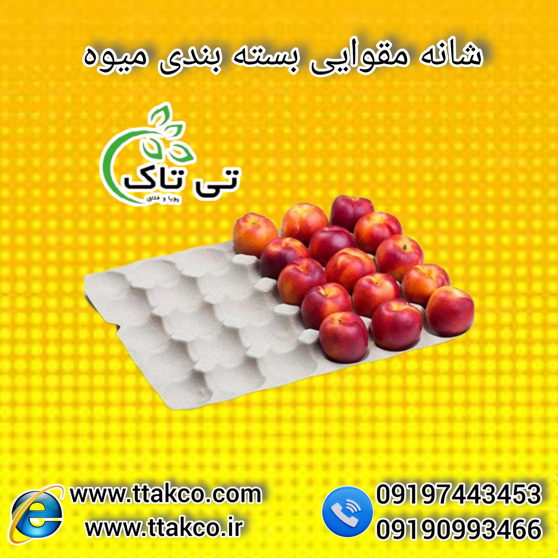 فروش شانه مقوایی | قیمت و خرید شانه مقوایی میوه 09197443453