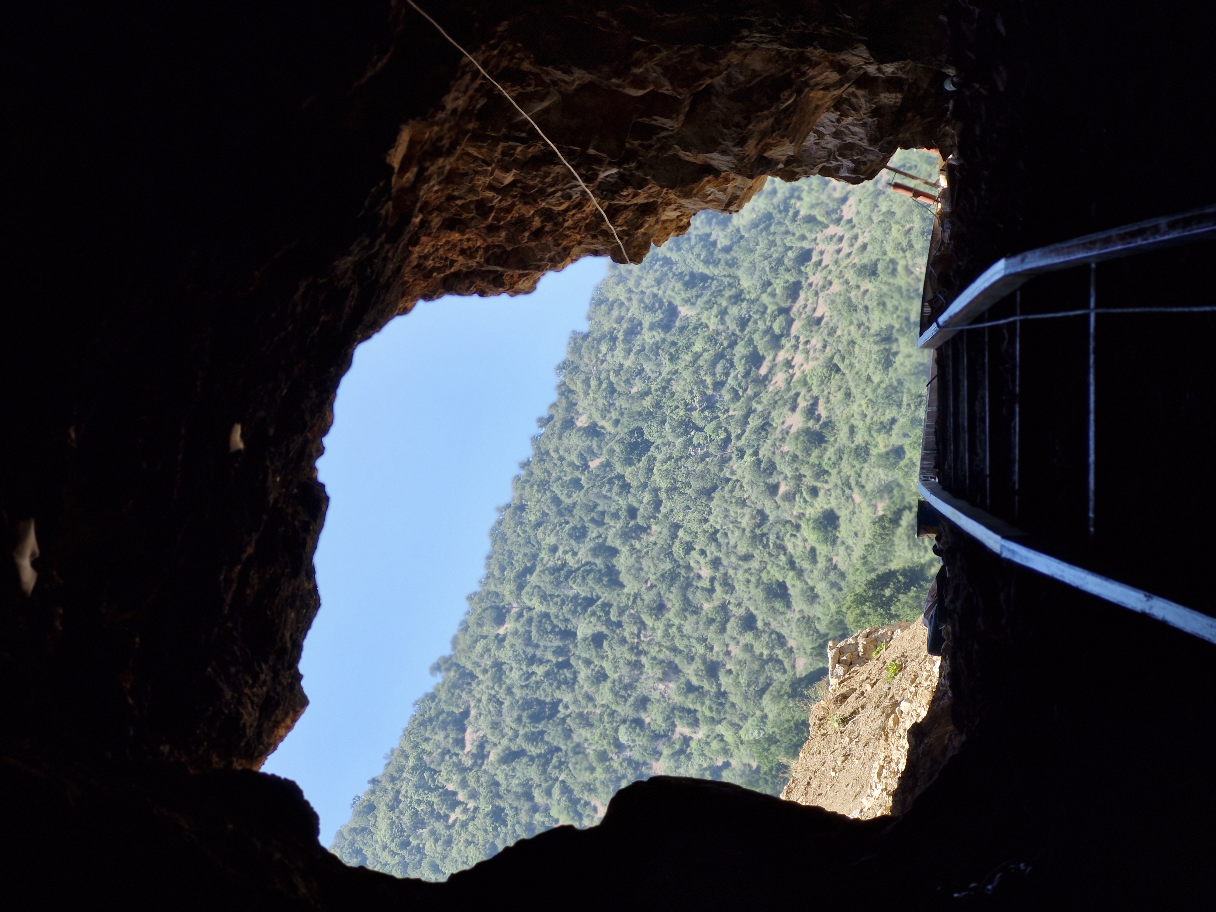 فروش فلورین