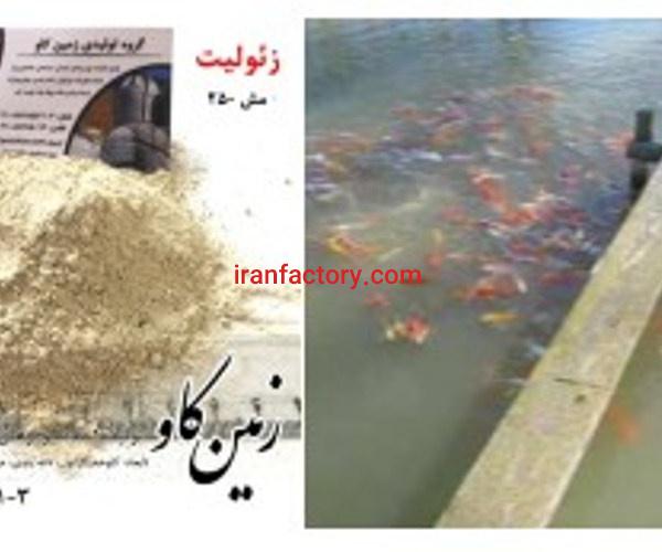 زئولیت و تاثیرات آن در استخر پرورش ماهی(Zeolite)