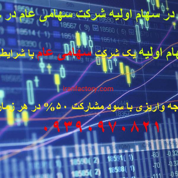 مشارکت در سهام اولیه شرکت سهامی عام در حال تأسیس