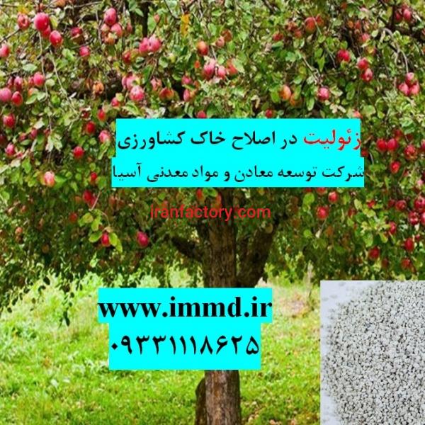 راه حل کاهش شوری خاک