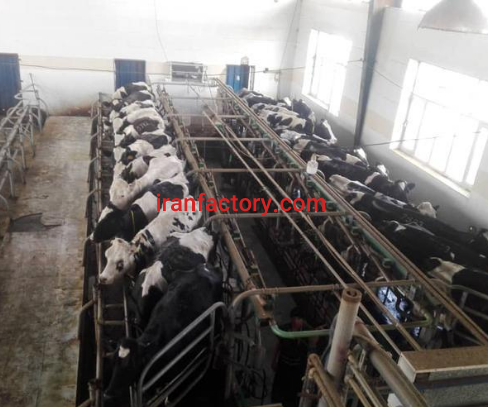 معاوضه و فروش 67 هکتار دامداری در کرج