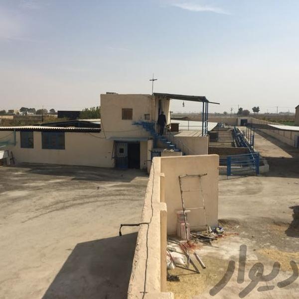 فروش گاوداری در اصفهان